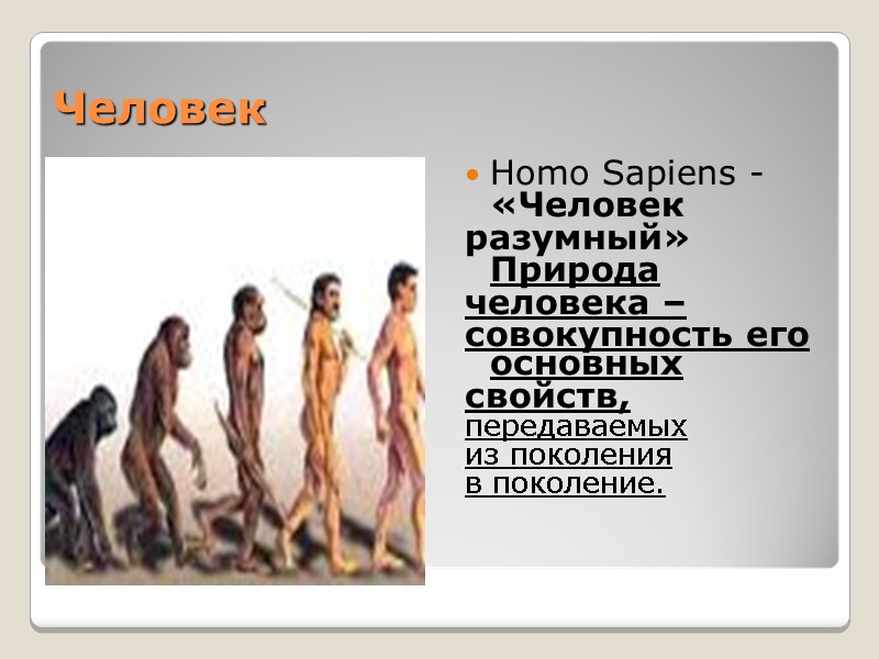 Человек Homo Sapiens -   «Человек  разумный»  Природа  человека –
